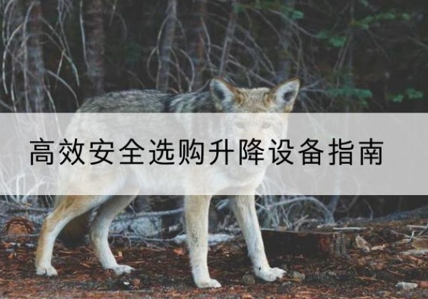 平南升降货梯厂家推荐-*安全选购升降设备指南