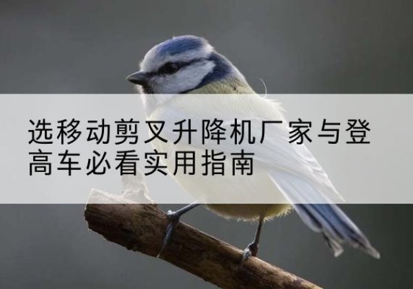 平南电动升降机厂家-选移动剪叉升降机厂家与登高车必看实用指南