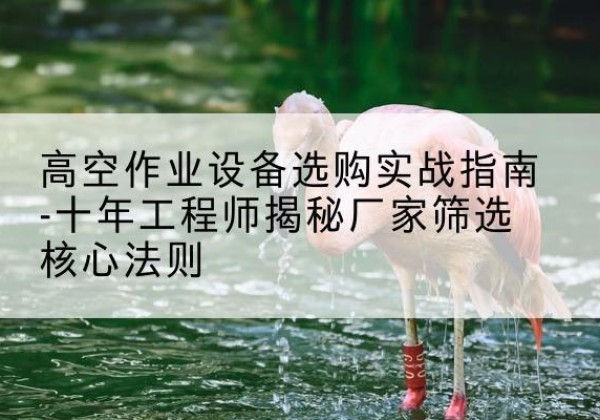 平南剪叉式升降机厂家-高空作业设备选购实战指南-十年工程师揭秘厂家筛选核心法则